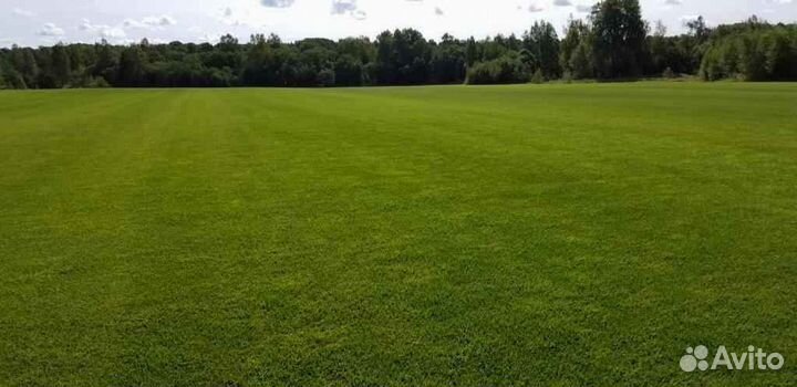 Укладка и продажа газона