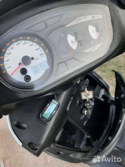 Benelli