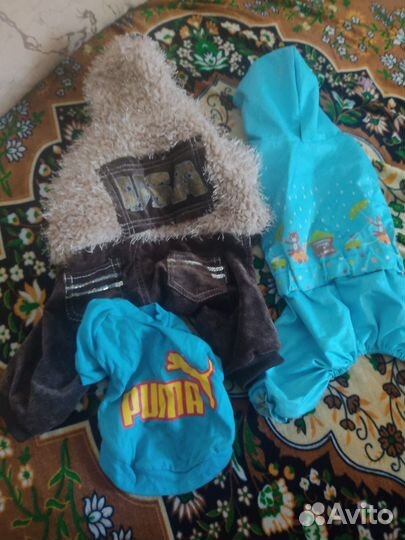 Одежда для собак пакетом