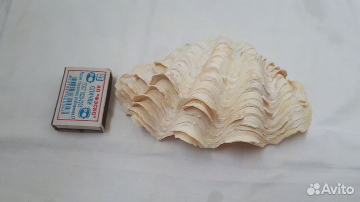 Декорации для аквариума