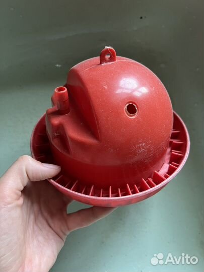 Поилка для суточных птенцов в брудер