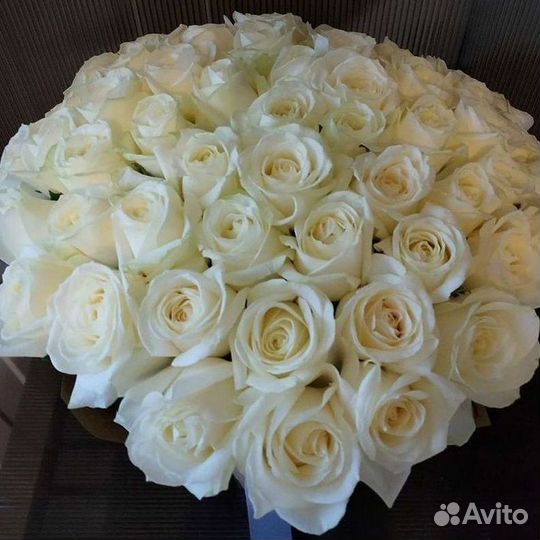 Высокие Розы Гиганты Доставка Круглосуточно