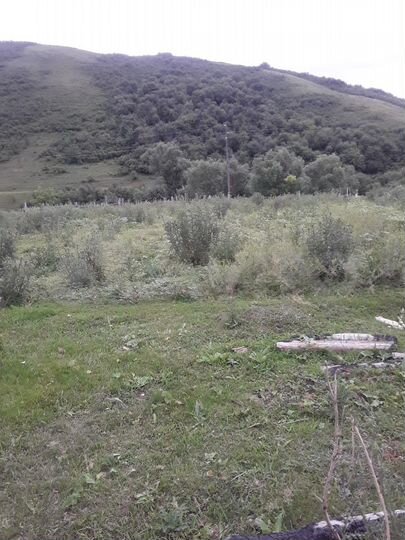 Участок 15 сот. (ИЖС)