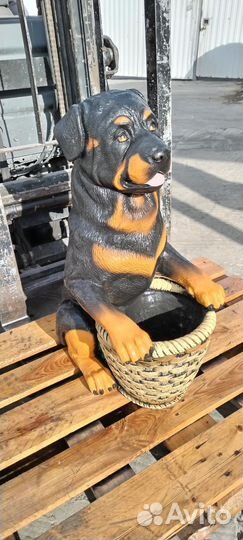 Садовая фигура из бетона Ротвейлер с кашпо