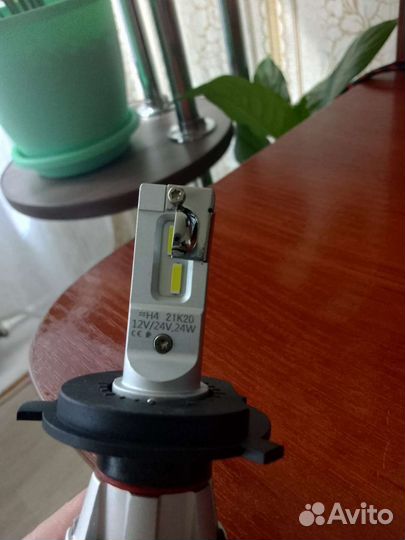 Автомобильные лампочки