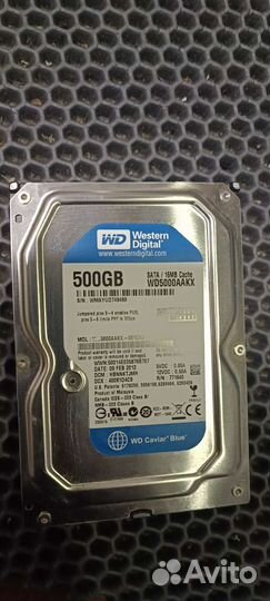 Жесткий диск 500gb WD