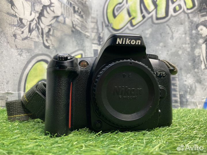 Nikon F75