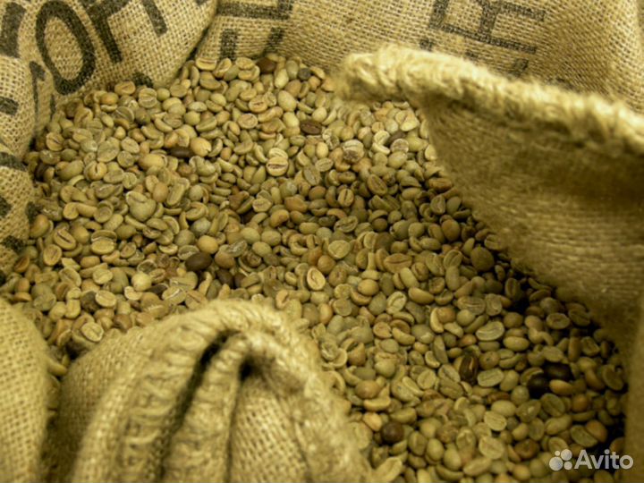 Кофе зеленый в зернах