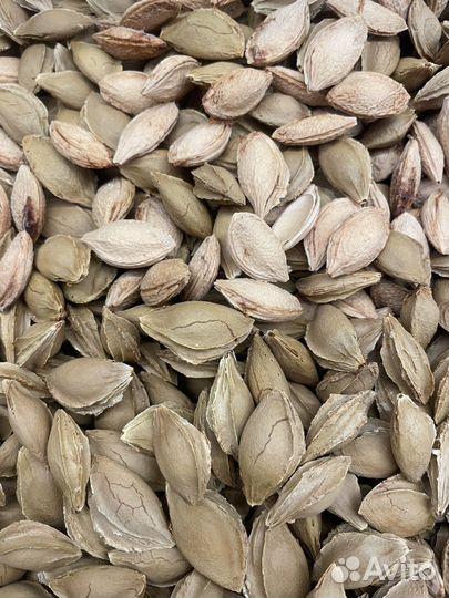 Косточки сливы для творчества