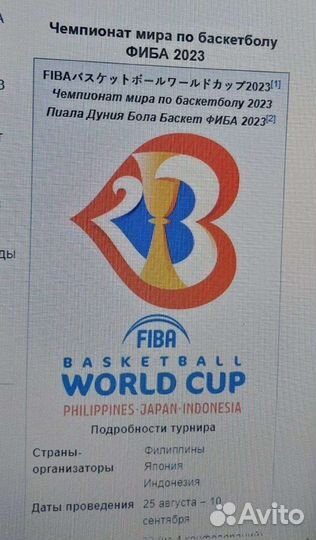 Баскетбольный мяч Molten BG3100 (чм 2023)