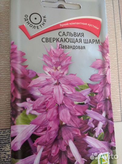 Семена сальвии и др