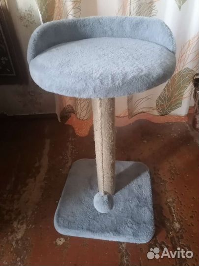 Когтеточка