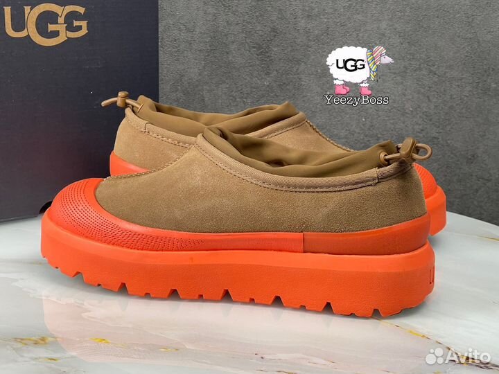 Кроссовки зимние женские Ugg Tasman Hybrid