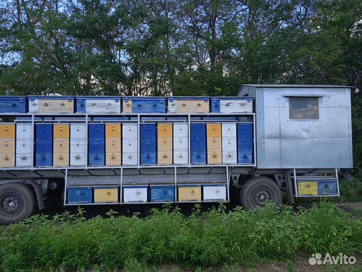 Прицеп пчеловоз, 2010