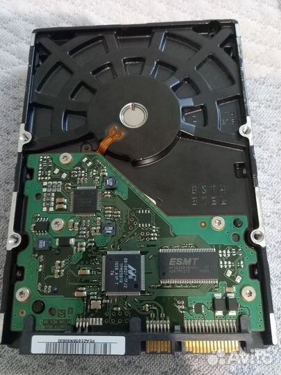 Жесткий диск samsung HD154UI 1500 гб