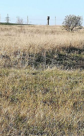 Участок 15 сот. (ИЖС)