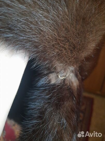 Мужская шапка