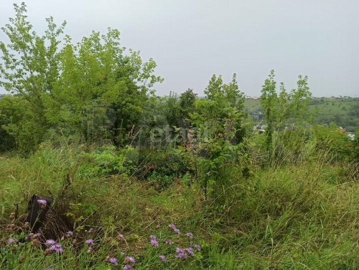 Участок 4 сот. (СНТ, ДНП)