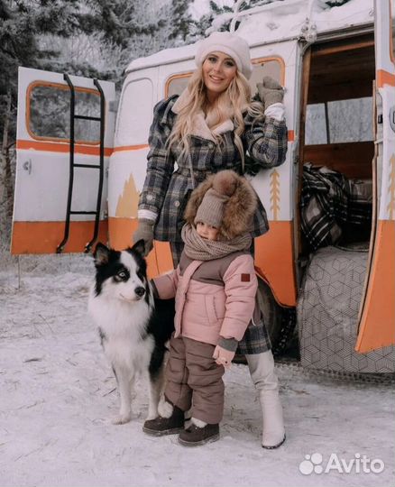 Собака для фотосессии