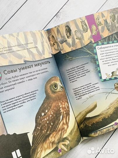 Моя первая энциклопедия животных