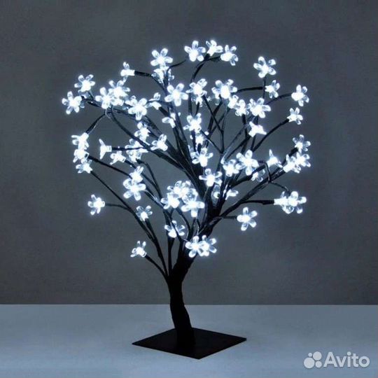 Сакура дерево светящее Норвегия рождественская