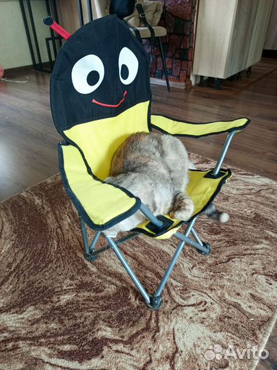 Стул складной детский туристический/ садовый