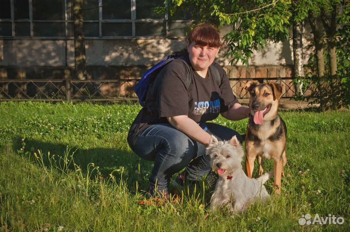 Курсы дрессировки собак / Кинолог