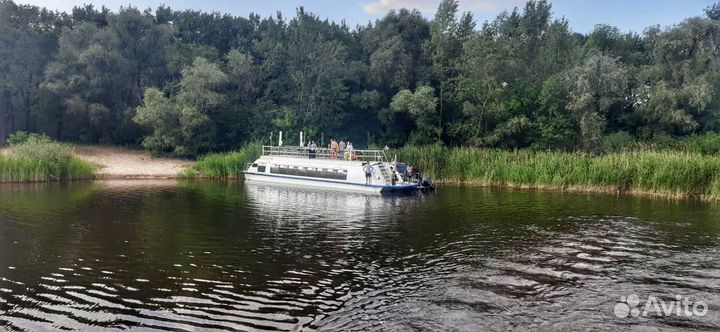 Моторная яхта аренда