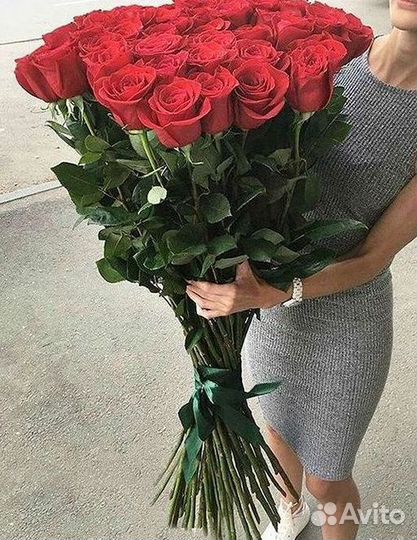 Розы Букеты Цветы Розы 31 101 151 201 Доставка