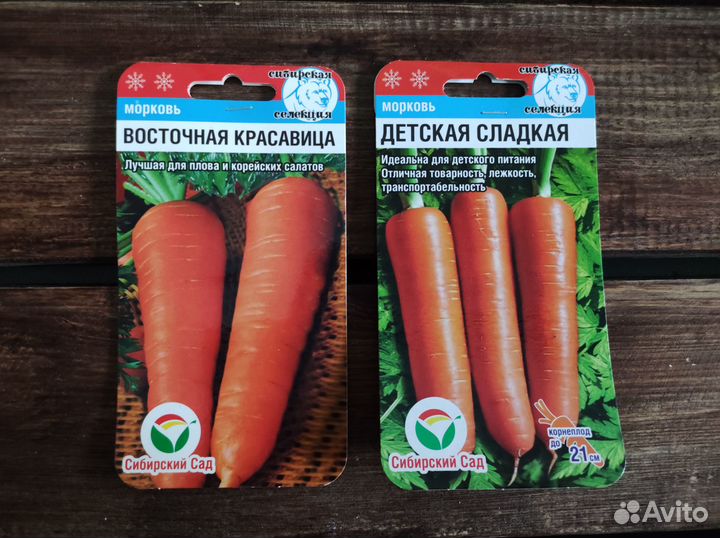 Семена Моркови