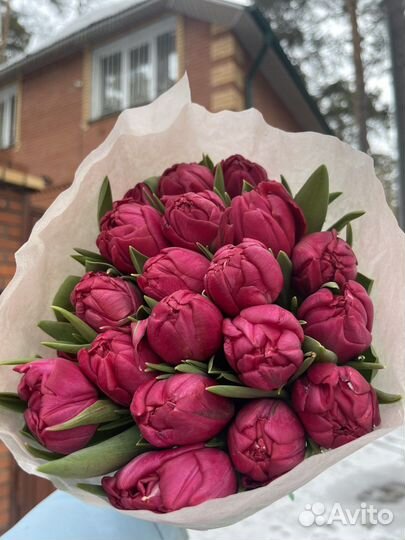 Тюльпаны к 8 марта