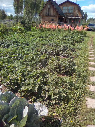 Дача 65 м² на участке 9,5 сот.