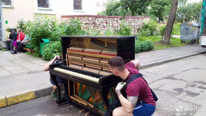 Грузчики/Переезды/Грузоперевозки/Автотранспорт