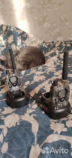 Рации и радиостанции комплект