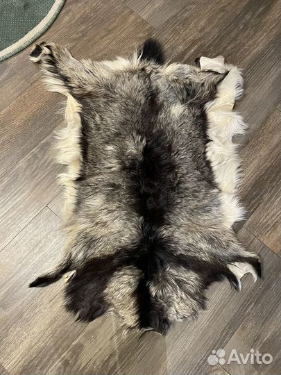 Шкуры животных