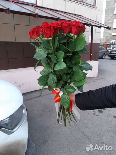 Розы свежие красивые 