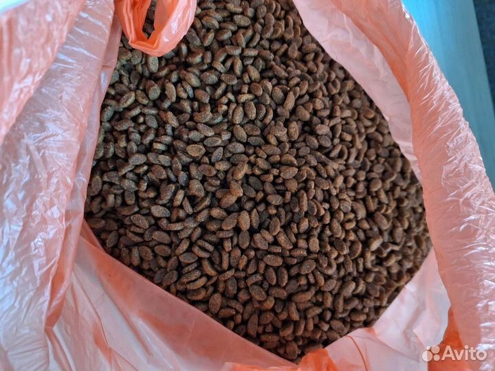 Корм для кошек Brit