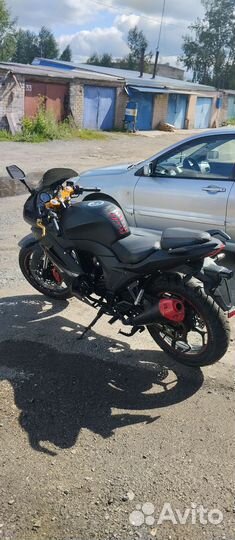 Фалкон спидфаер 250