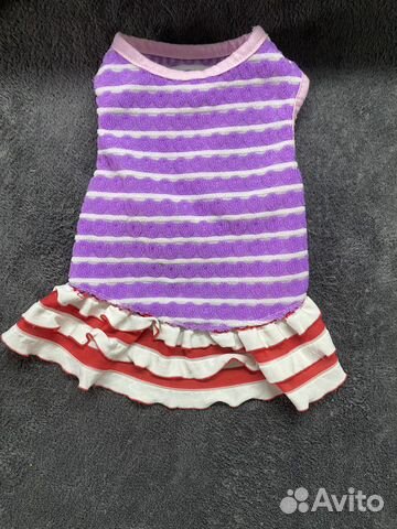 Одежда для маленьких собак