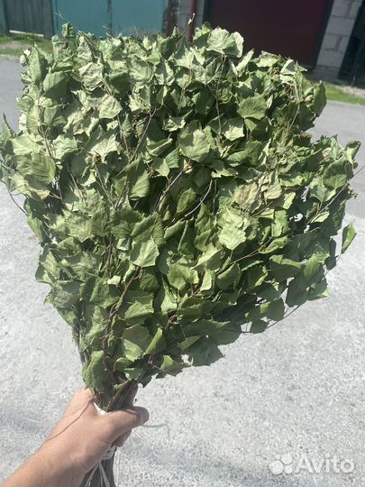 Веники для бани, березовые