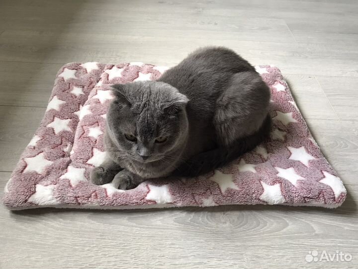 Матрасик /лежанка для животных