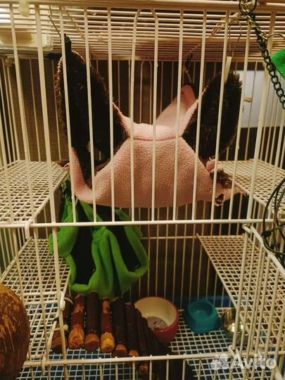 Клетка большая для грызунов средних размеров, крыс