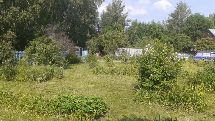 Дача 50 м² на участке 10 сот.