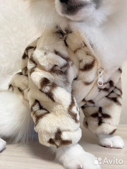 Шуба для собак