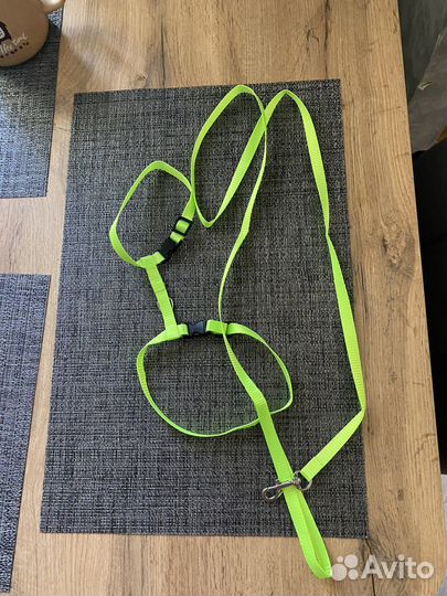 Шлейка с поводком для маленьких собак, кошек