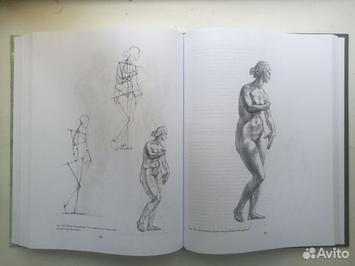 Основы учебного академического рисунка. Н.Ли