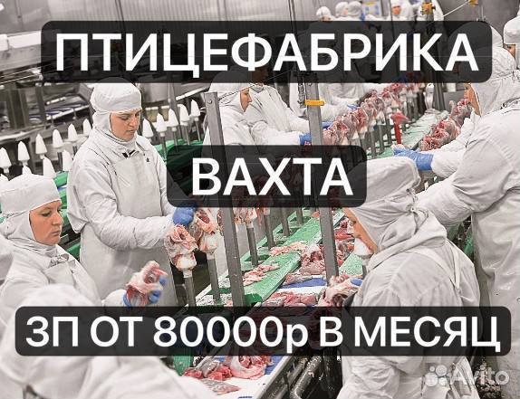 Упаковщик (ца) разнорабочий на птицефабрику вахта