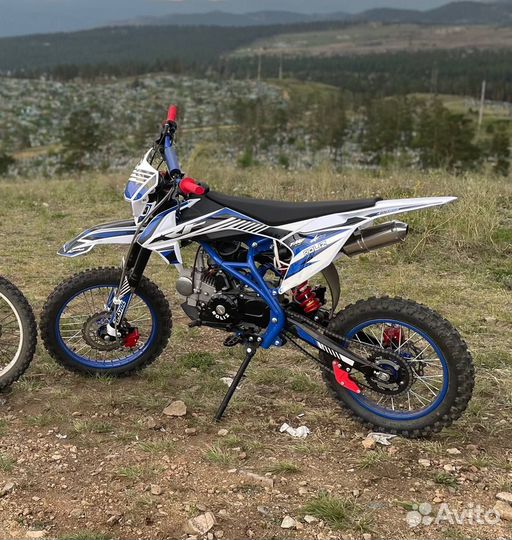 Roliz 125 new