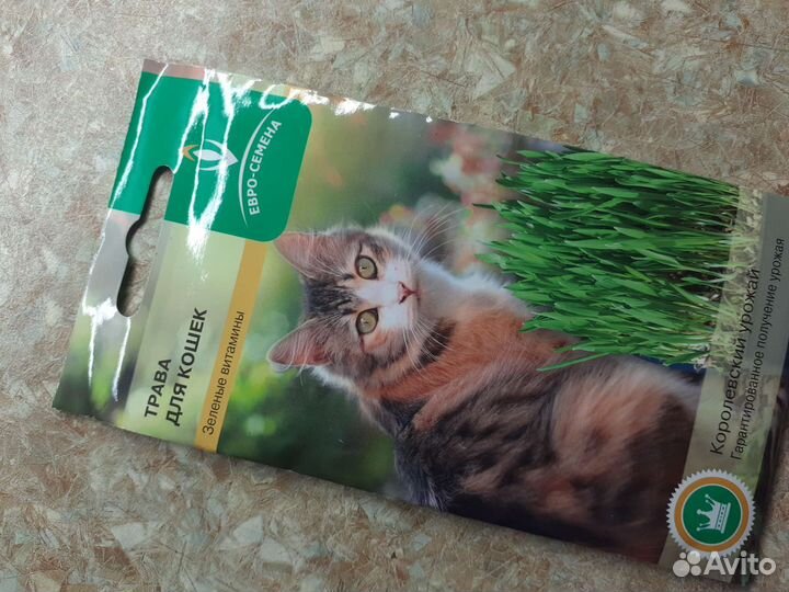 Трава для кошек