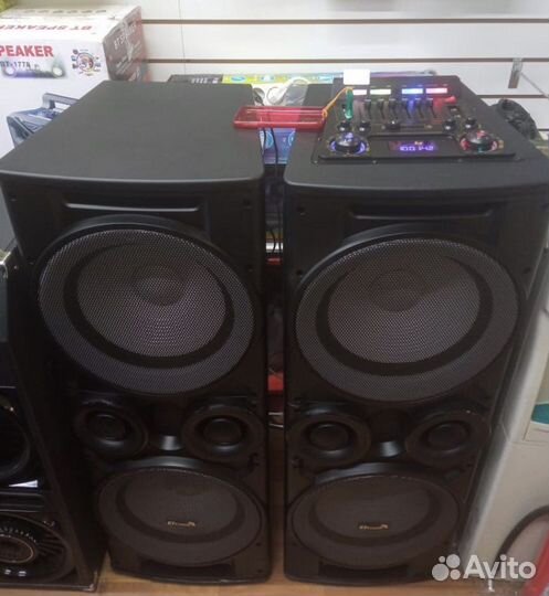 Колонки концертные ElTronic 20-06 TwinBox